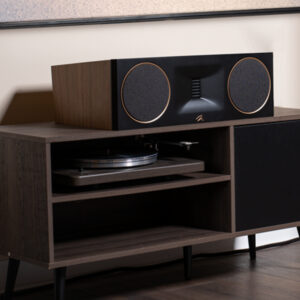 MartinLogan Motion XT C100