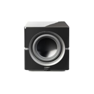 MartinLogan Dynamo 10 Subwoofer